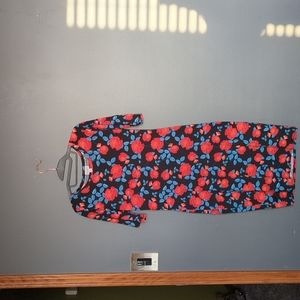LuLaRoe Julia dress